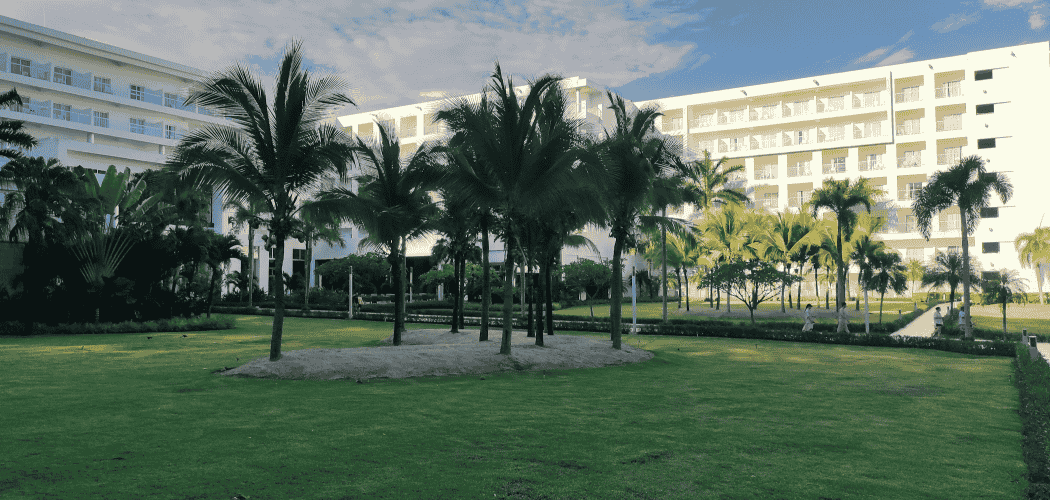 Cityscape Lodge